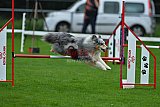 Royal Canin Masters 2025 geldrop