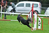 Royal Canin Masters 2025 geldrop