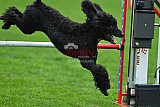 Royal Canin Masters 2025 geldrop