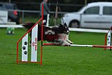 Royal Canin Masters 2025 geldrop