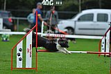 Royal Canin Masters 2025 geldrop