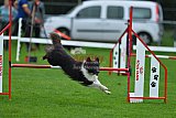Royal Canin Masters 2025 geldrop