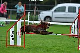Royal Canin Masters 2025 geldrop