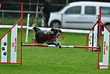 Royal Canin Masters 2025 geldrop
