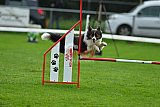 Royal Canin Masters 2025 geldrop