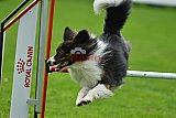 Royal Canin Masters 2025 geldrop