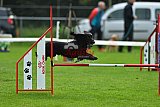 Royal Canin Masters 2025 geldrop