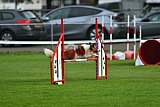 Royal Canin Masters 2025 geldrop