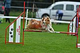 Royal Canin Masters 2025 geldrop