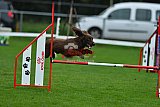 Royal Canin Masters 2025 geldrop
