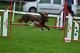 Royal Canin Masters 2025 geldrop