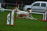 Royal Canin Masters 2025 geldrop