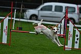 Royal Canin Masters 2025 geldrop