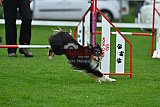 Royal Canin Masters 2025 geldrop