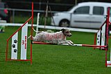 Royal Canin Masters 2025 geldrop