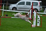 Royal Canin Masters 2025 geldrop