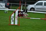 Royal Canin Masters 2025 geldrop