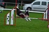 Royal Canin Masters 2025 geldrop
