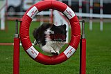 Royal Canin Masters 2025 geldrop