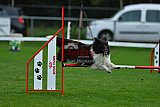 Royal Canin Masters 2025 geldrop