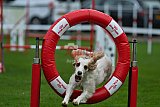 Royal Canin Masters 2025 geldrop