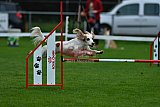 Royal Canin Masters 2025 geldrop