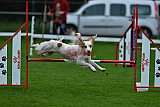 Royal Canin Masters 2025 geldrop