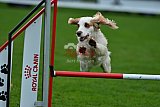 Royal Canin Masters 2025 geldrop