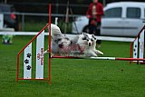 Royal Canin Masters 2025 geldrop