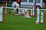 Royal Canin Masters 2025 geldrop