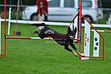 Royal Canin Masters 2025 geldrop