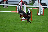 Royal Canin Masters 2025 geldrop