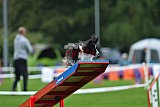Royal Canin Masters 2025 geldrop