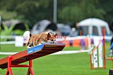 Royal Canin Masters 2025 geldrop