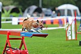 Royal Canin Masters 2025 geldrop