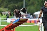 Royal Canin Masters 2025 geldrop