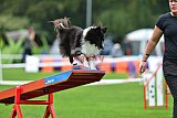 Royal Canin Masters 2025 geldrop