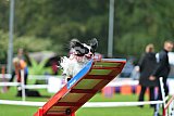 Royal Canin Masters 2025 geldrop