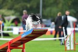 Royal Canin Masters 2025 geldrop