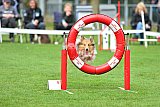 Royal Canin Masters 2025 geldrop