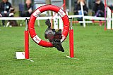 Royal Canin Masters 2025 geldrop