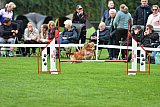 Royal Canin Masters 2025 geldrop