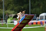 Royal Canin Masters 2025 geldrop
