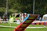 Royal Canin Masters 2025 geldrop