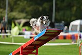 Royal Canin Masters 2025 geldrop