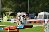 Royal Canin Masters 2025 geldrop
