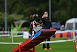 Royal Canin Masters 2025 geldrop