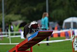 Royal Canin Masters 2025 geldrop
