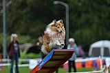 Royal Canin Masters 2025 geldrop