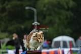 Royal Canin Masters 2025 geldrop